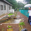 中原小学校のビオトープ