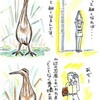 カメルーン　カプラミと晩夏のブレンド