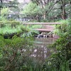 桜堤公園（東京都武蔵野市）