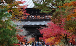 Go to entry