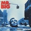 MR.BIG   『BUMP AHEAD』