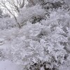 冬至の剣山遊山　山小屋