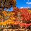 【紅葉も似合う 那須塩原】自宅でゆったりYouTube で 那須塩原 の老舗割烹旅館・湯の花荘 へ ぜいたくで優雅な大人の旅行気分?! ≪めちゃ推しYouTube≫