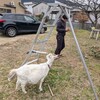 充実した日曜日の午後