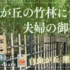 【自由が丘の癒しスポット】夫婦松と竹林が迎える熊野神社（東京都目黒区）2025/3/22