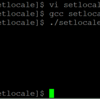 setlocale(Windows)