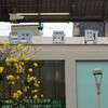 2025年4月23日（水）　KOBE  イッペイの花咲く街 