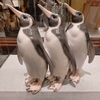 魅惑のアール・デコ空間で繰り広げられる動物の競演：ペンギン君の道しるべあり