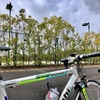 今日も寒い。。。豊後高田市かなえ台　丘の公園(県体練習コース)へ自転車トレーニング。