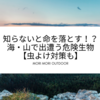 知らないと命を落とす！？海・山で出遭う危険生物【虫よけ対策も】