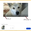 写真が動画になる！・・Google AI Studio
