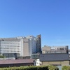 「隣のソテツ」の経過報告