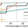 Budgeted Training: Rethinking Deep Neural Network Training Under Resource Constraints (2019)
