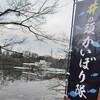 井の頭公園の井の頭池で行われているかいぼり（掻い掘り）を見て来た