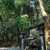 大神神社写真館(９/１８)