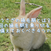 うさぎの換毛期とは？年間4回の換毛期を乗り切るために飼い主が備えておくべき４つの対策方法