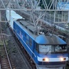 1095レ 鹿島貨物(EF210-116) 【スマホ動画】