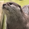 腹ごしらえで水族館からの〜🐟おさかな市場🍴🙄、、、ん？！💧IN蒲郡・ラグーナテンボス