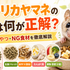 アフリカヤマネの餌は何が正解？主食・おやつ・与えてはいけない食べ物を徹底解説