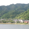 半夏生