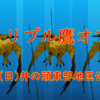 【大会告知】トリプル鷹オフ 開催要項【ORASトリプル】