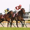 競馬初心者必見☆馬券予想🔥〜目黒記念〜日本ダービーの後も目が離せません！