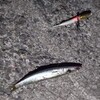 紀北 タチウオワインド 第4戦