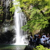 新緑が眩しい箕面大滝ハイク