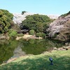 東京国立博物館『春の庭園開放』