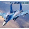 今プラモデルの1/48 Su-30SM フランカーHにいい感じでとんでもないことが起こっている？