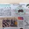 中東の食べ物