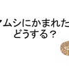 マムシにかまれたらどうする？