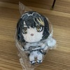 【シャニマス】斑鳩ルカちゃんのぬいぐるみです。