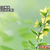 YouTube【14回目】更新。