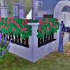 My Wedding Stories（5）