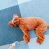 チャンネル登録してくれてたの？！
