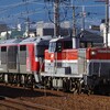 DF200甲種輸送を追いかけ。