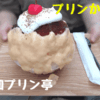 高知プリン亭の「プリンかき氷」食べる