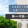 石垣島からの波照間島日帰りツアーの内容