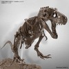 太古の記憶から紡がれる“肉食恐竜の王”　Imaginary Skeleton ティラノサウルスのご紹介‼
