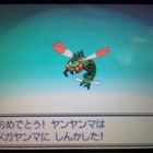 自分なりにプラチナ四天王を考えてみた さかなさかなさかな