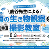 鹿谷先生による!海の生き物観察&撮影教室参加者募集のお知らせ