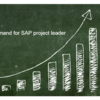 【SAPバブル】USCPAが年収1000万円SAPプロジェクトリーダーになるための具体的メソッド