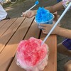 かき氷食べたら口が真っ青に