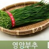 韓国の食材③「ひめらっきょうの葉（영양부추）ヨンヤンプチュ」