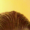 ヘアカラー。