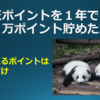 楽天ポイントを1年で10万ポイント貯めた方法