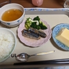 今年の春の荒れた天候が、まだからだの中で、荒れ狂っているようだ、からだが冷えきっている。火でも入れて、寒さを溶かさなければ、参ってしまう。今日は一日、お休みを取ろう。昨日は突然に嘔吐をしたし。