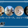 「猫 ×リモートワーク」エピソード紹介 #1 