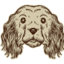 掛川のトリミングサロンDog salon OluOluブログ
